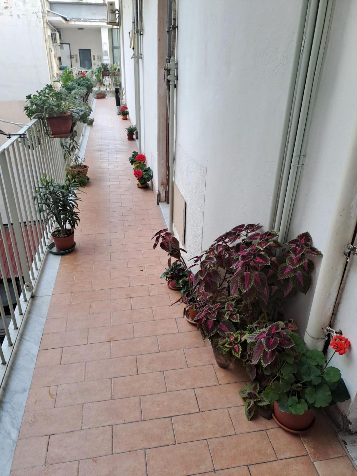 B&B Domus Pina CTA Exterior photo